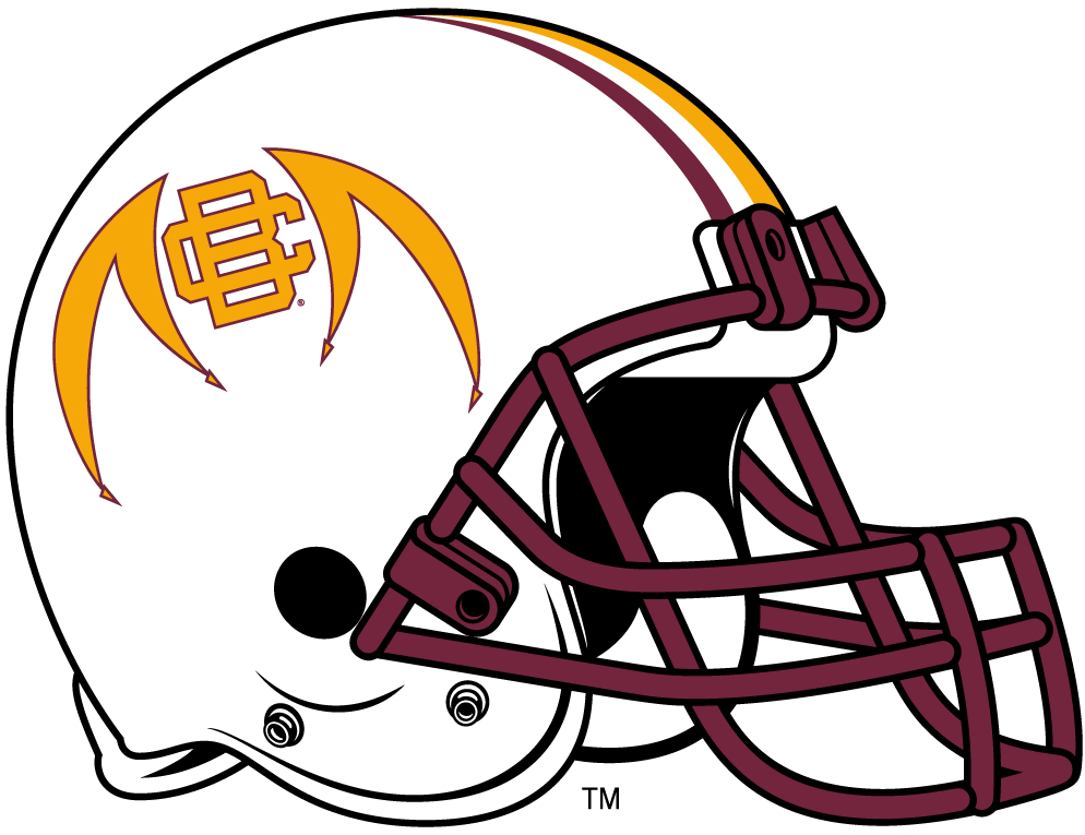 Bethune-Cookman Wildcats 2010-2015 Helmet Logo t shirts iron on transfers